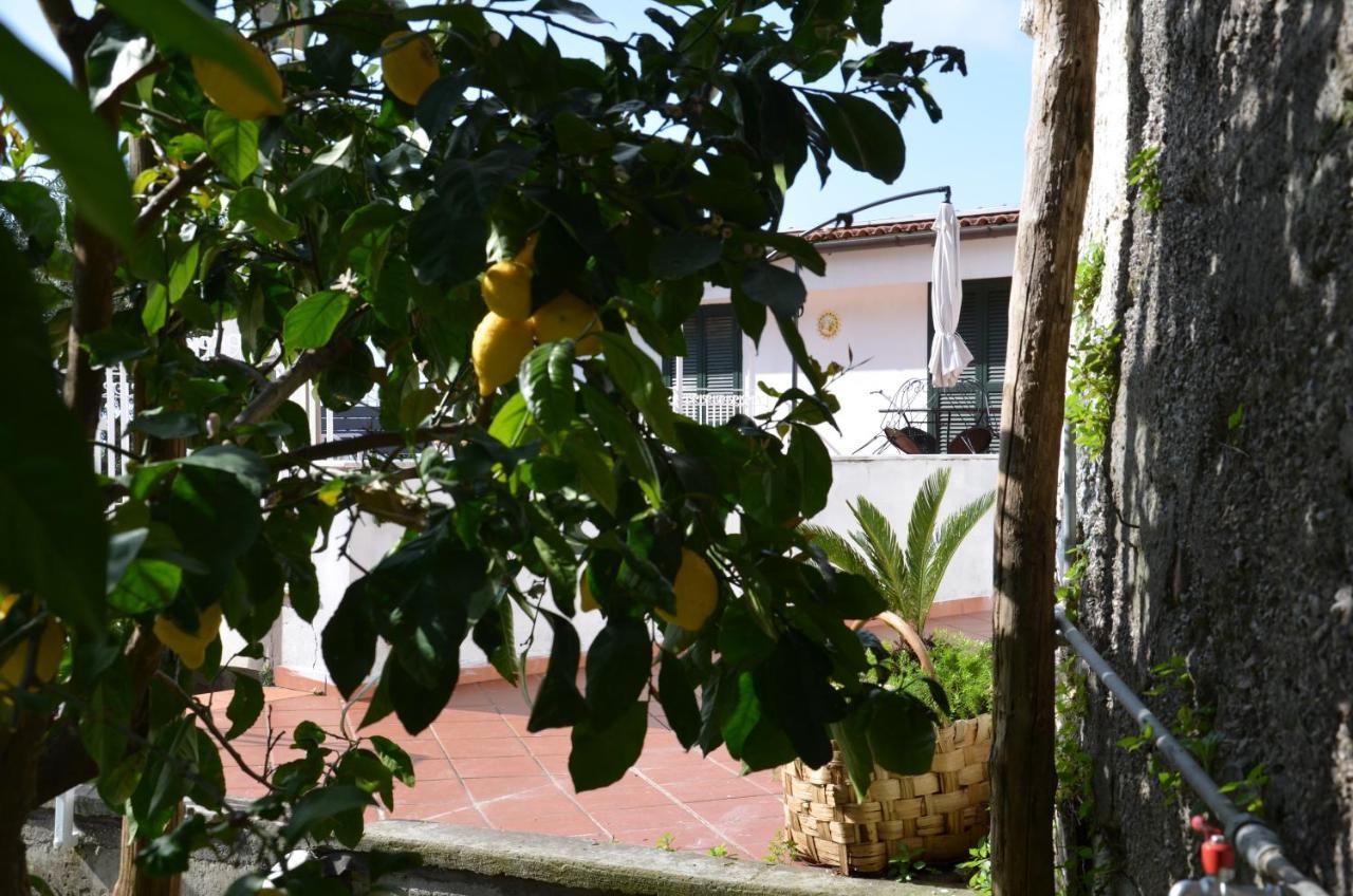 Villa Luciana Sant'Agnello Exterior photo